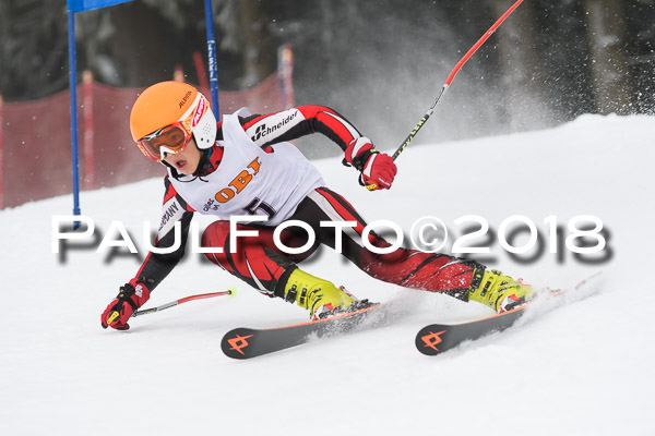 3. Ziener Cup RS
