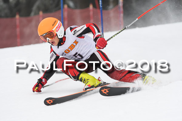 3. Ziener Cup RS