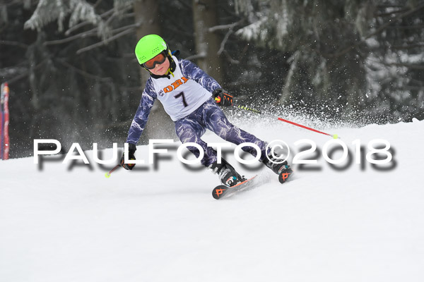 3. Ziener Cup RS