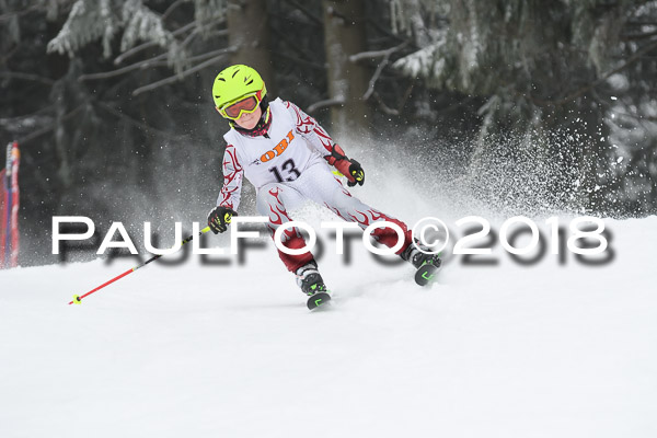 3. Ziener Cup RS