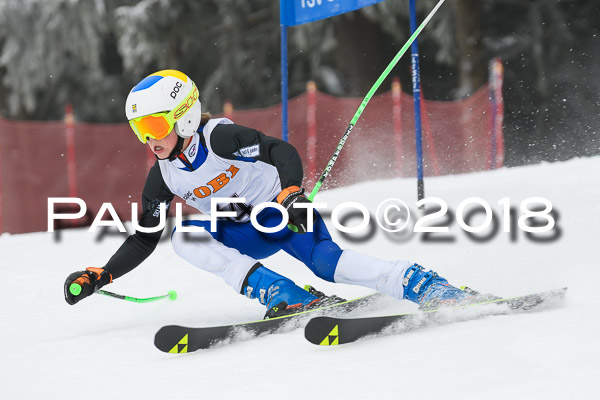 3. Ziener Cup RS