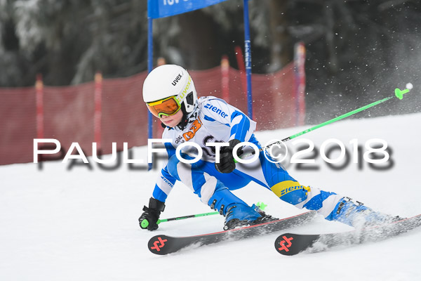 3. Ziener Cup RS
