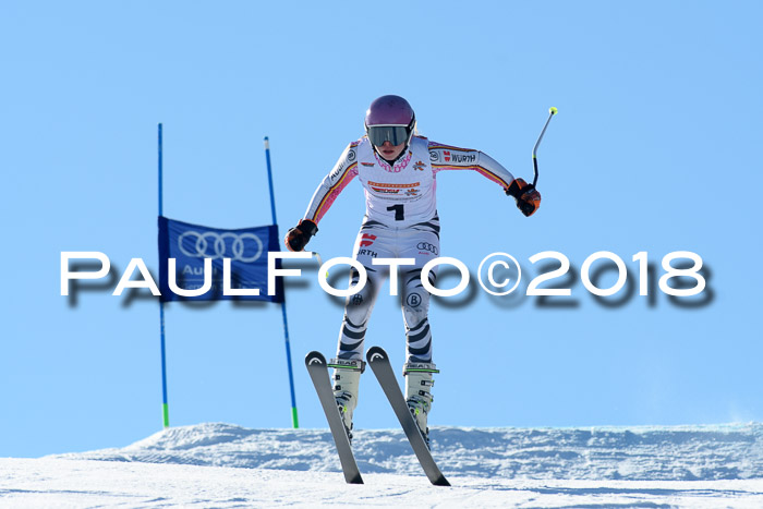 DSV Schülercup Super-G, 19.02.2018