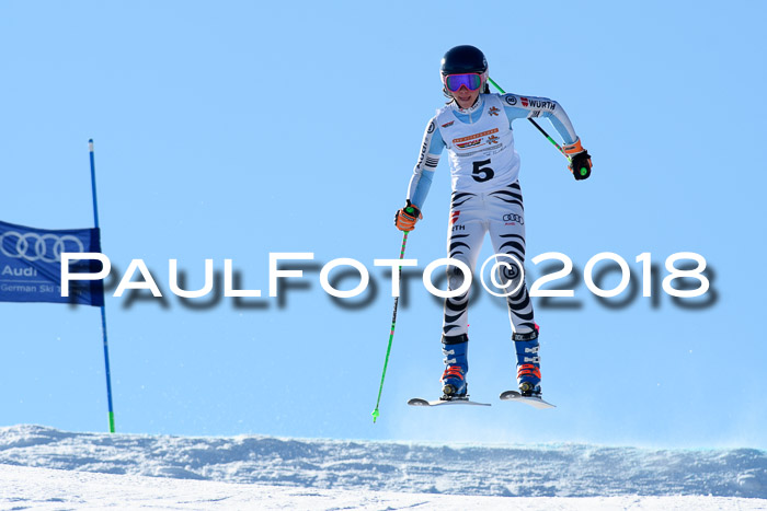 DSV Schülercup Super-G, 19.02.2018