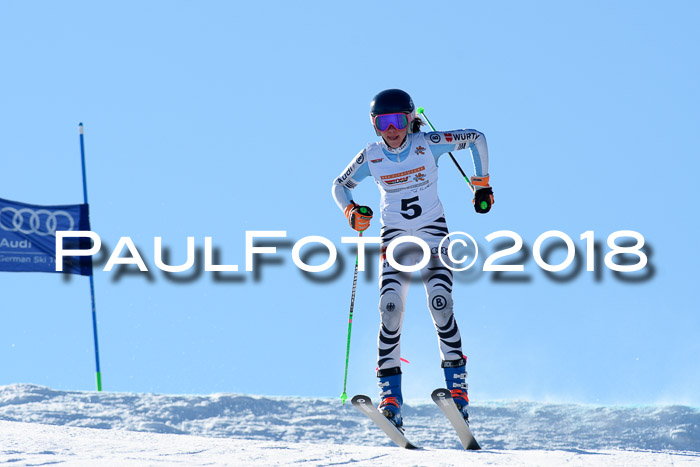 DSV Schülercup Super-G, 19.02.2018