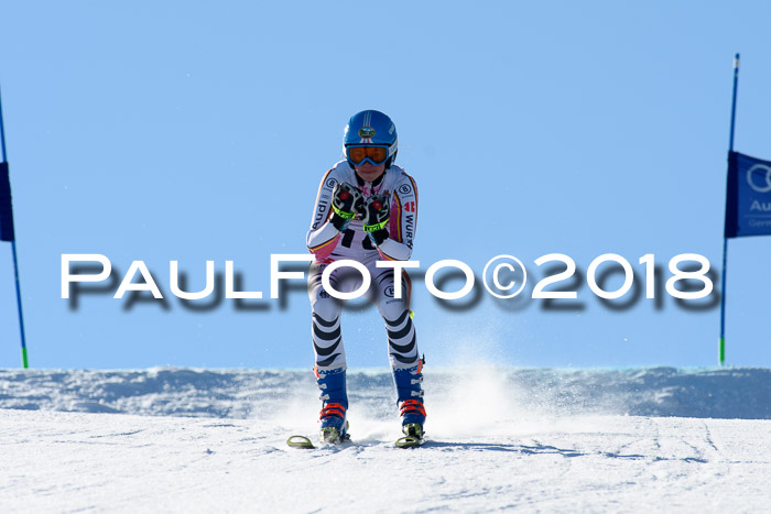 DSV Schülercup Super-G, 19.02.2018