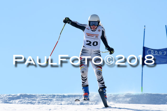 DSV Schülercup Super-G, 19.02.2018