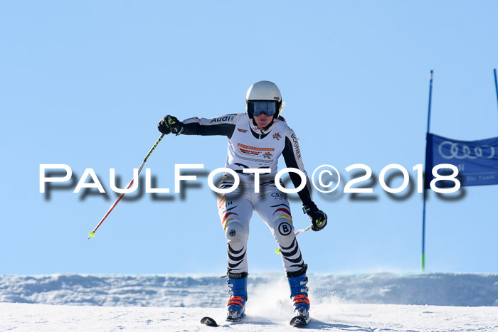 DSV Schülercup Super-G, 19.02.2018