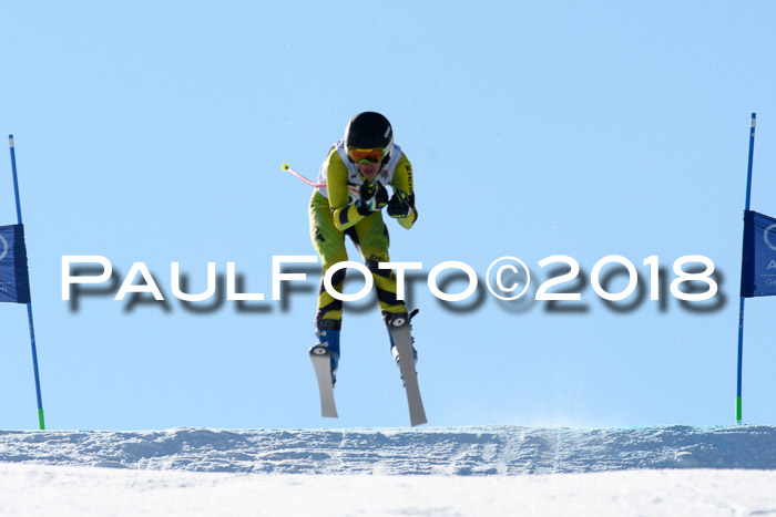 DSV Schülercup Super-G, 19.02.2018