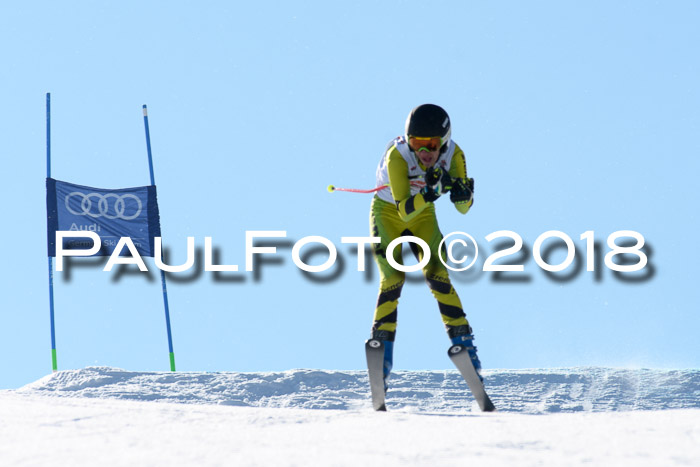 DSV Schülercup Super-G, 19.02.2018