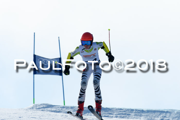 DSV Schülercup Super-G, 19.02.2018