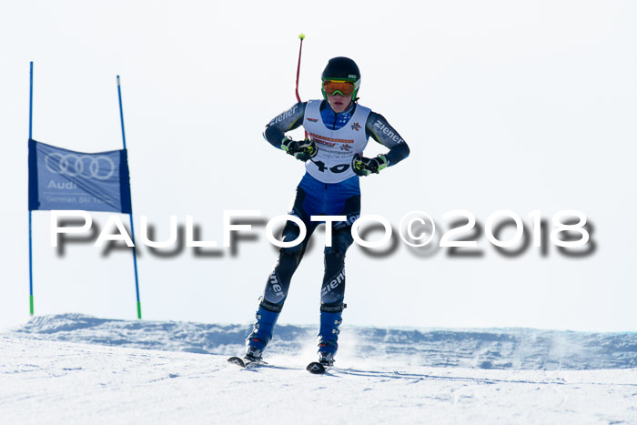 DSV Schülercup Super-G, 19.02.2018