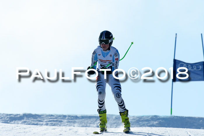 DSV Schülercup Super-G, 19.02.2018