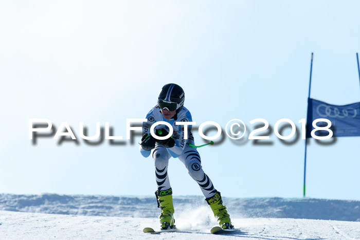 DSV Schülercup Super-G, 19.02.2018