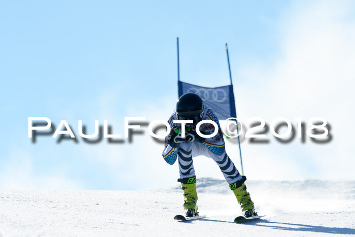 DSV Schülercup Super-G, 19.02.2018