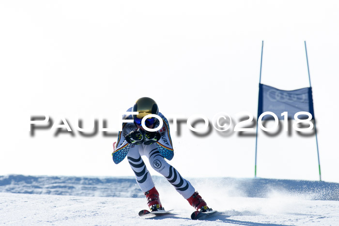 DSV Schülercup Super-G, 19.02.2018