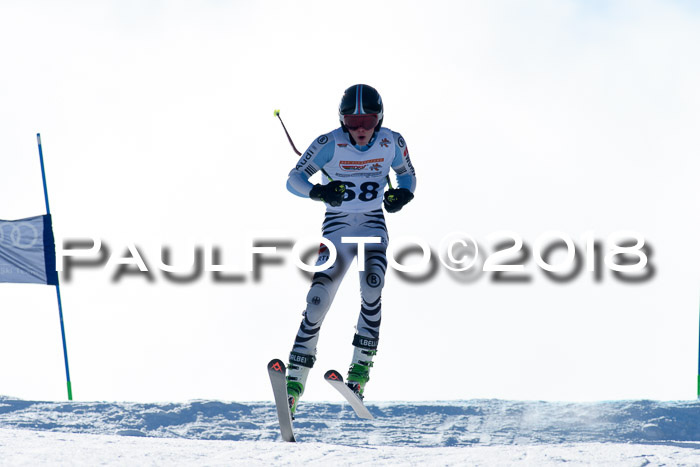 DSV Schülercup Super-G, 19.02.2018