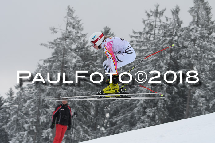 DSV Schülercup Super-G, 19.02.2018