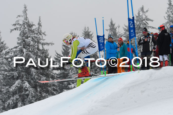 DSV Schülercup Super-G, 19.02.2018