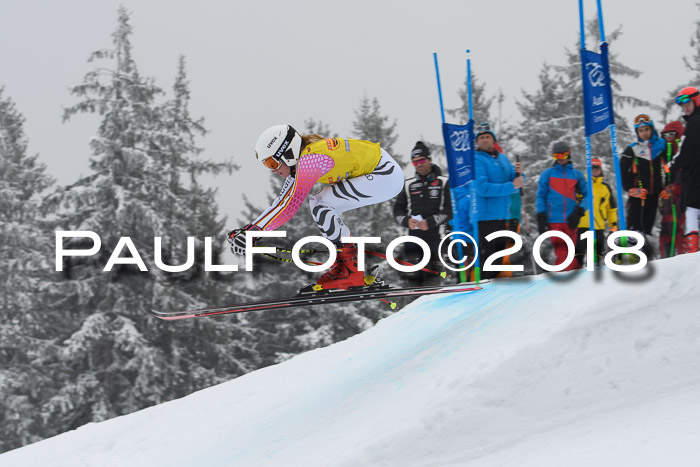 DSV Schülercup Super-G, 19.02.2018