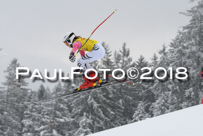 DSV Schülercup Super-G, 19.02.2018