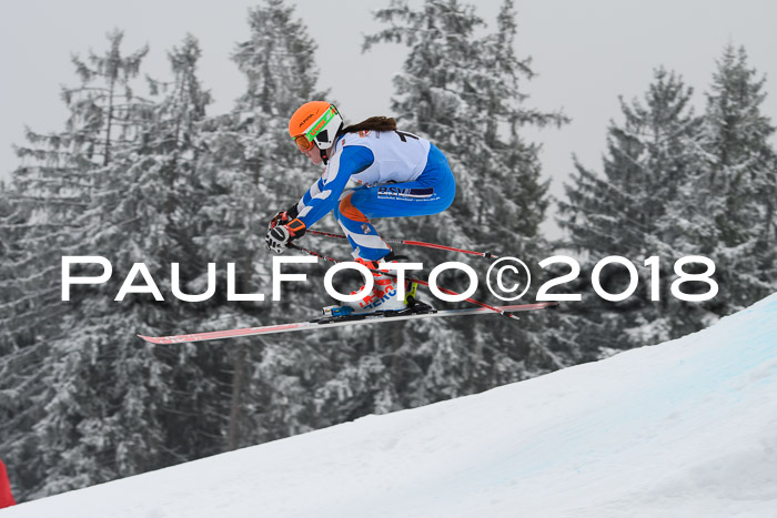 DSV Schülercup Super-G, 19.02.2018
