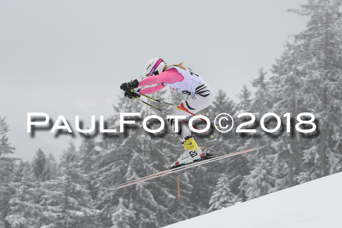 DSV Schülercup Super-G, 19.02.2018