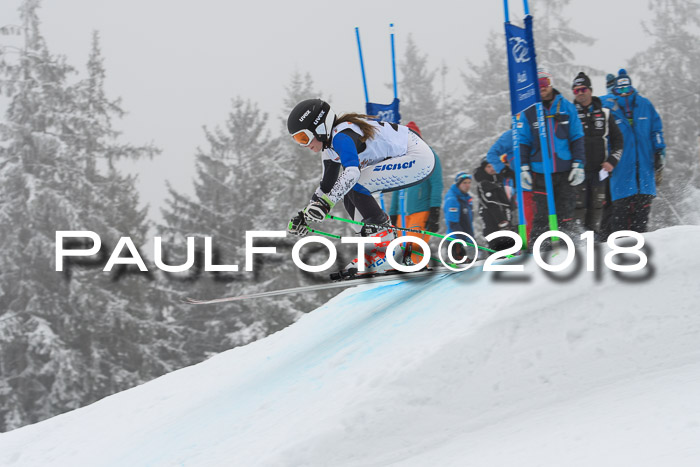 DSV Schülercup Super-G, 19.02.2018