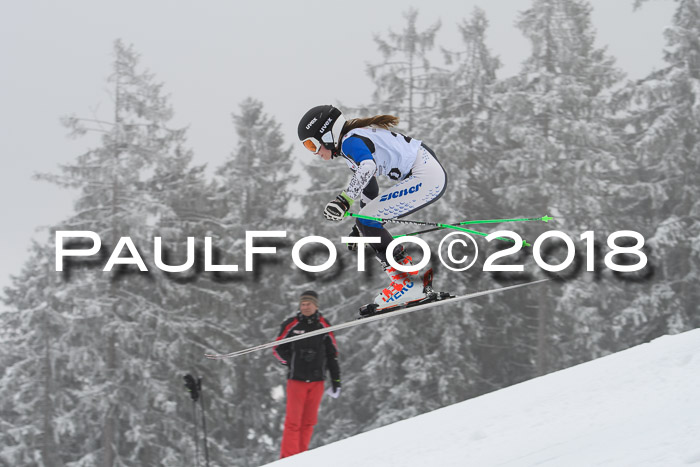 DSV Schülercup Super-G, 19.02.2018
