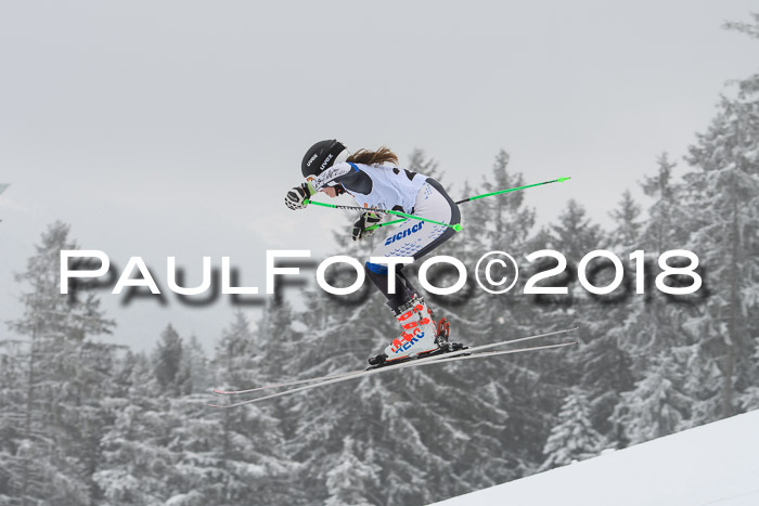 DSV Schülercup Super-G, 19.02.2018