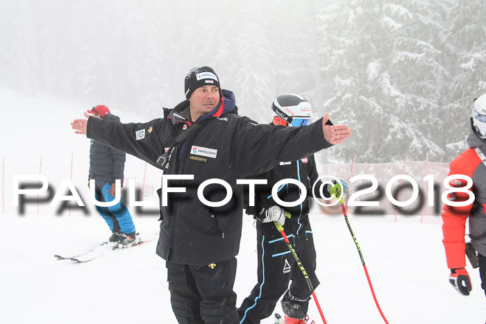 Int. FIS Rennen + NJC Damen, SG, Götschen, 22.02.2018