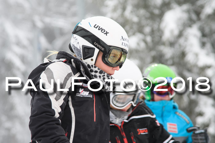 Int. FIS Rennen + NJC Damen, SG, Götschen, 22.02.2018