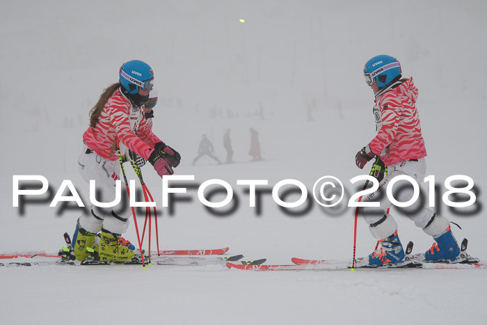 Int. FIS Rennen + NJC Damen, SG, Götschen, 22.02.2018