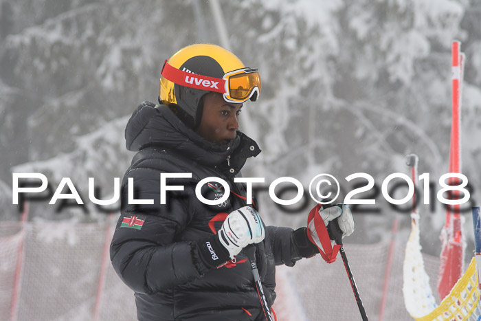 Int. FIS Rennen + NJC Damen, SG, Götschen, 22.02.2018