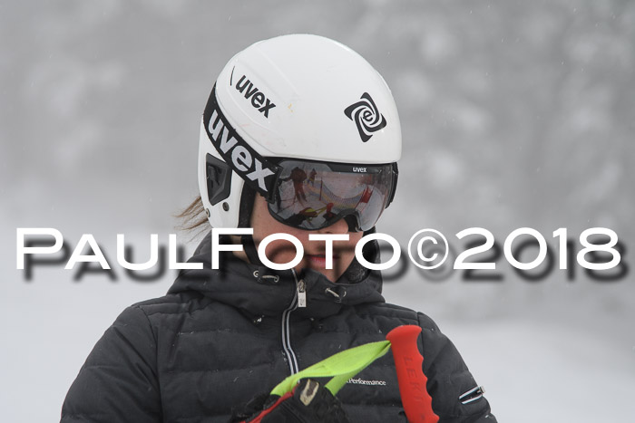 Int. FIS Rennen + NJC Damen, SG, Götschen, 22.02.2018