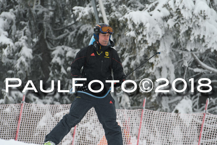 Int. FIS Rennen + NJC Damen, SG, Götschen, 22.02.2018