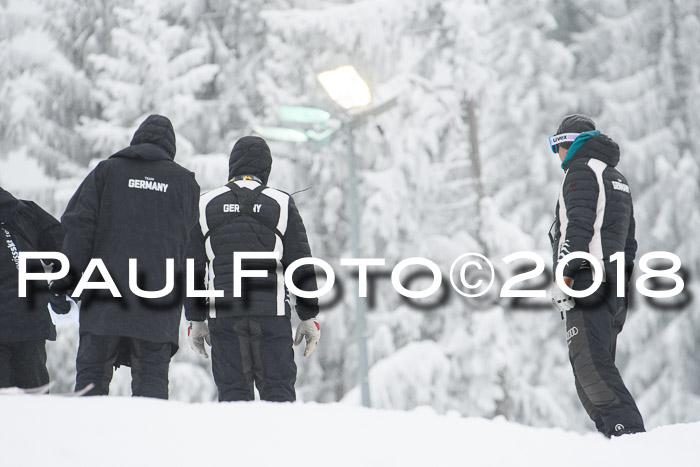 Int. FIS Rennen + NJC Damen, SG, Götschen, 22.02.2018