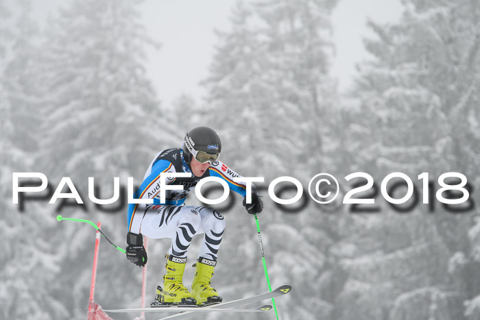 Int. FIS Rennen + NJC Damen, SG, Götschen, 22.02.2018
