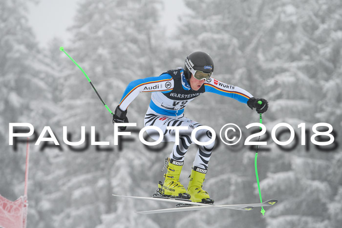 Int. FIS Rennen + NJC Damen, SG, Götschen, 22.02.2018