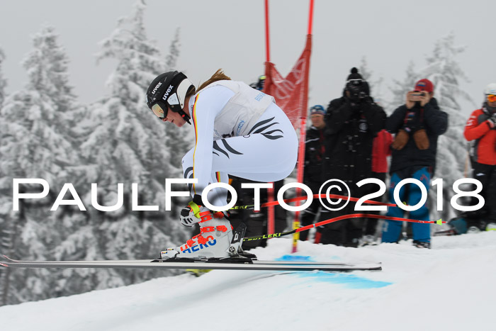 Int. FIS Rennen + NJC Damen, SG, Götschen, 22.02.2018