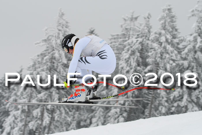 Int. FIS Rennen + NJC Damen, SG, Götschen, 22.02.2018