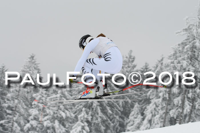 Int. FIS Rennen + NJC Damen, SG, Götschen, 22.02.2018