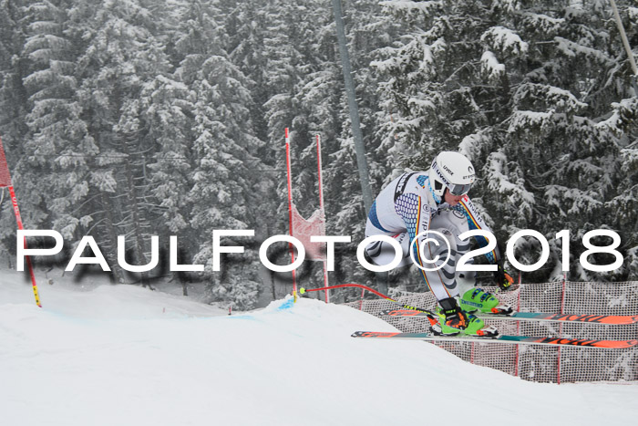Int. FIS Rennen + NJC Damen, SG, Götschen, 22.02.2018