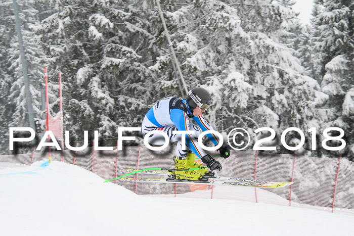 Int. FIS Rennen + NJC Damen, SG, Götschen, 22.02.2018