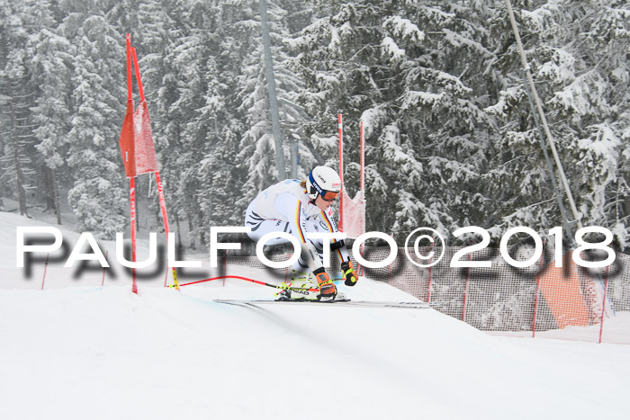 Int. FIS Rennen + NJC Damen, SG, Götschen, 22.02.2018