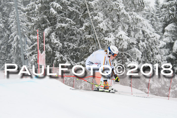 Int. FIS Rennen + NJC Damen, SG, Götschen, 22.02.2018