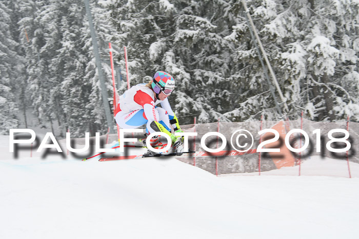 Int. FIS Rennen + NJC Damen, SG, Götschen, 22.02.2018