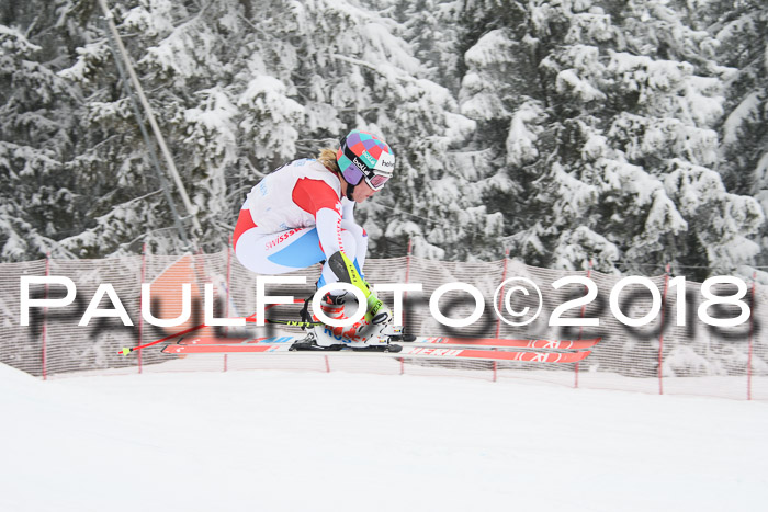 Int. FIS Rennen + NJC Damen, SG, Götschen, 22.02.2018