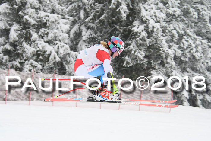 Int. FIS Rennen + NJC Damen, SG, Götschen, 22.02.2018