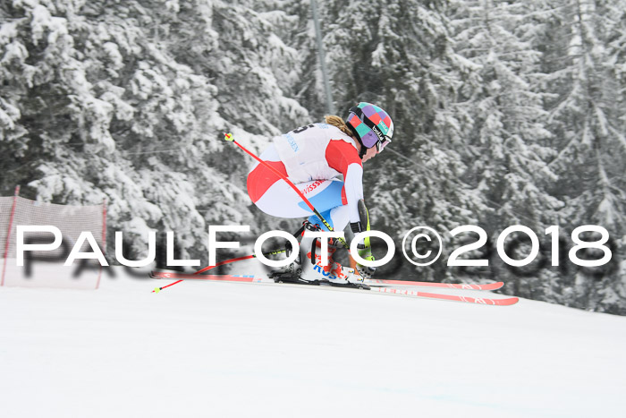 Int. FIS Rennen + NJC Damen, SG, Götschen, 22.02.2018